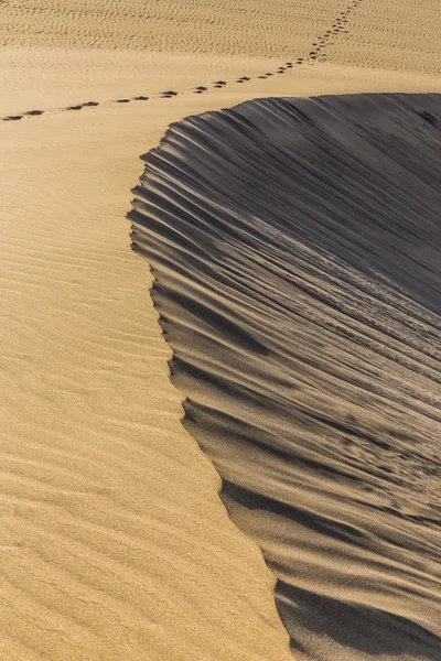 Abstraktní Detail písečné duny Kanárské ostrovy, Španělsko — Stock fotografie