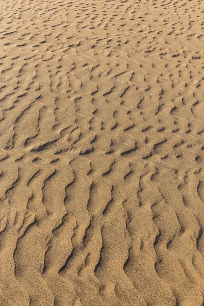 砂砂丘カナリア諸島、スペインの抽象的な細部 — ストック写真