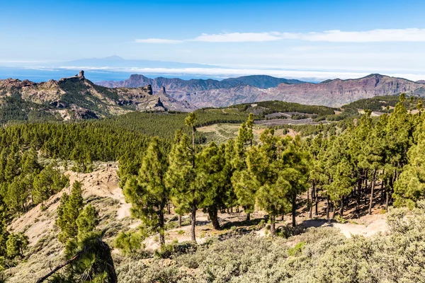 Roque Nublo - Gran Canaria, Kanárské ostrovy, Španělsko — Stock fotografie