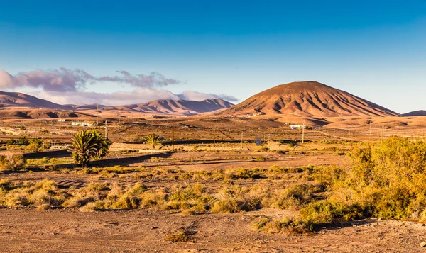 Landscape In Fuerteventura, Canary Islands, Spain — Stock Photo, Image