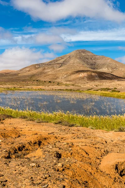 Lake In Fuerteventura Inland-Canary Islands, Spain — Stock Photo, Image