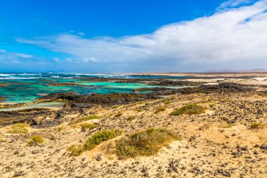 Kayalık sahil şeridi - El Cotillo, Fuerteventura, İspanya