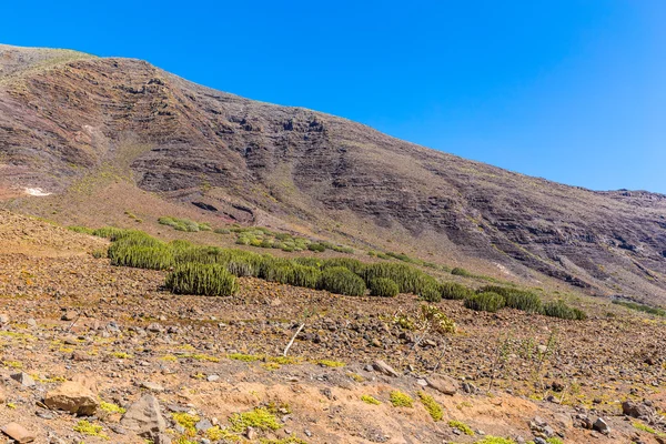 Jandia Natural Park - Fuerteventura, Spain — Stock Photo, Image