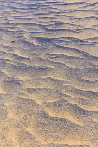 Abstract Detail Of Sand Dunes-Canary Islands, Spain — стоковое фото