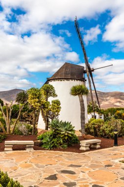 Yel değirmeni-Antigua, Fuerteventura, Kanarya Adaları, İspanya