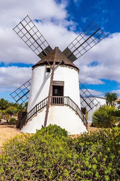 Windmolen-Antigua, Fuerteventura, Canarische eilanden, Spanje — Stockfoto