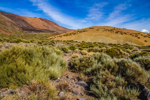 Teide National Park-Tenerife,Canary Islands,Spain — Stock Photo, Image