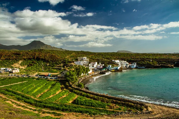 Pohled na zelené pobřeží Atlantického oceánu Tenerife — Stock fotografie