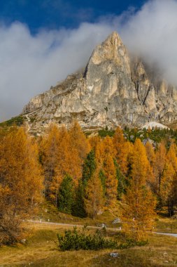 Sarı Larches ve Dolomites-Passo Falzarego, İtalya