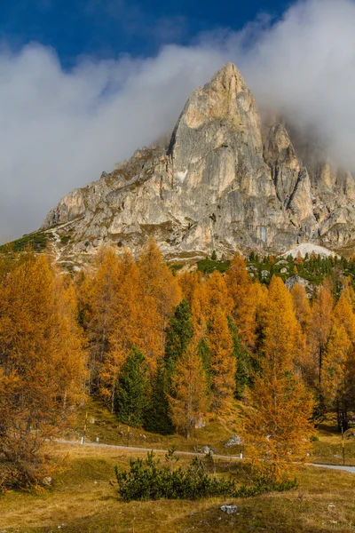 Larches amarelos e Dolomites-Passo Falzarego, Itália — Fotografia de Stock