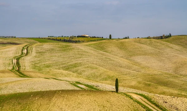 Path in Curvy Tuscany Landscape-Val dOrcia, Italy — Stock Photo, Image