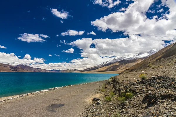 Schöne türkisfarbene Schuppentiere tso Lake-ladakh, Indien — Stockfoto