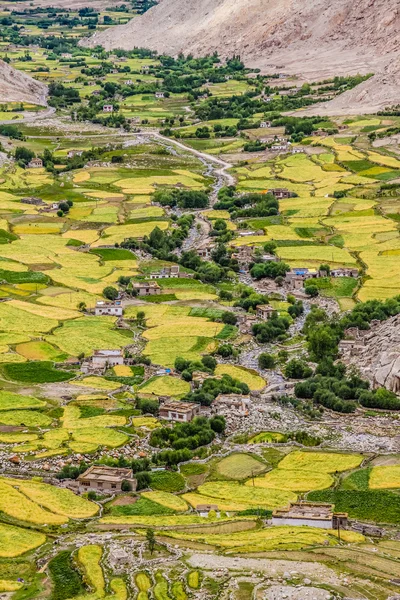 Mountain Valley e aldeia e rio-Ladakh, Índia — Fotografia de Stock