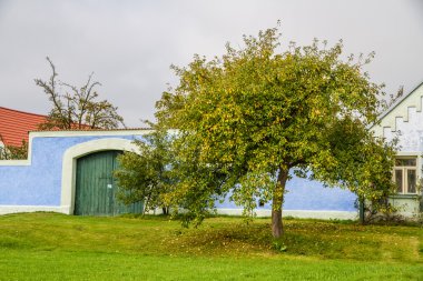 Renkli kırsal kapı kapı ile ağaç-Çek Cumhuriyeti