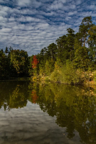 Riflesso d'acqua di alberi e cielo - Repubblica Ceca — Foto Stock