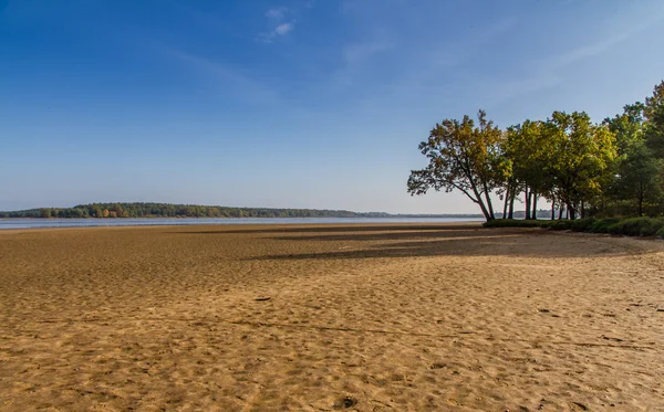 Sandy shore of Rozmberk pond-Trebon, República Checa — Fotografia de Stock