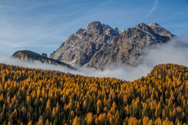 Bosque colorido de otoño y montaña-Dolomita, Italia — Foto de Stock