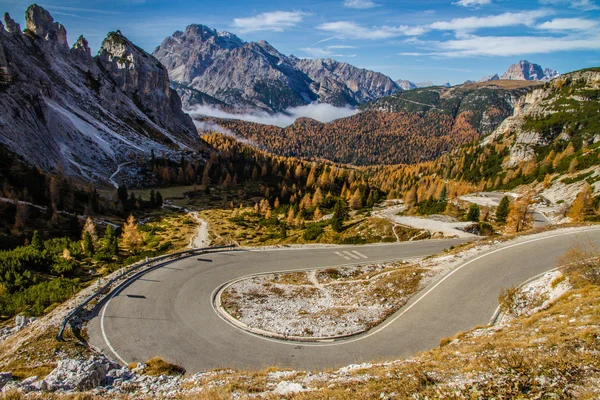 Carretera sinuosa en Colorido Bosque-Dolomitas, Italia — Foto de Stock