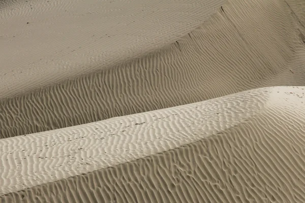 Wrinkled Sand Dunes-Nubra Valley, Ladakh, India — стоковое фото