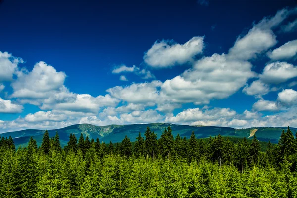 View of Mountain Forest with Blue Sky and Clouds — Stock Photo, Image