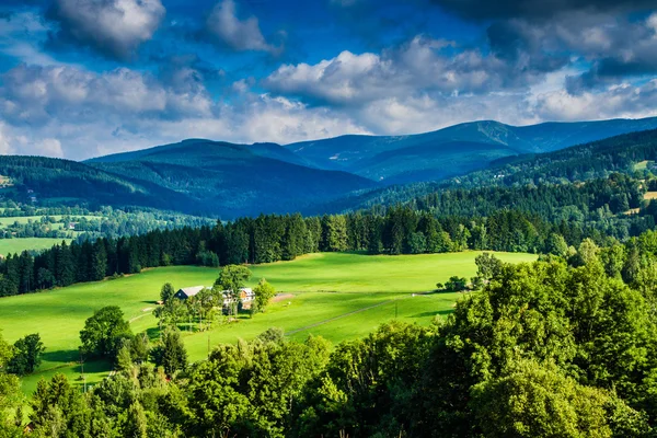 Vista dos prados da montanha e da floresta ao pôr do sol — Fotografia de Stock