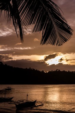Günbatımı ile palmiye yaprağı ve tekneler-Filipinler