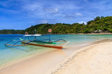 Plaj tekne ve palmiye ağaçları-Palawan, Filipinler