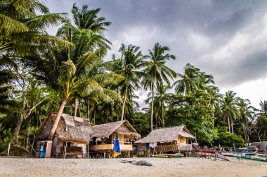 Plaj, evler ve palmiye ağaçları-Filipinler görünümünü