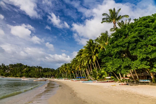 与棕榈树-巴拉望岛，菲律宾海滩 — 图库照片