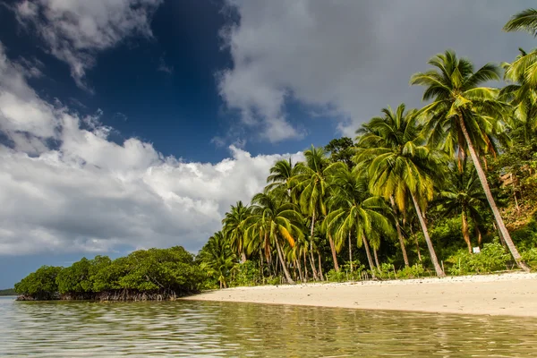 Paradise beach with palms-Port Barton,Philippines — Stock Photo, Image