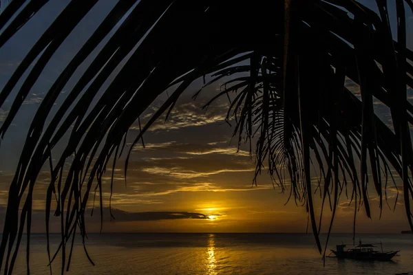 Yellow Sunset with Palm Leaf-Philippines — Stock Photo, Image