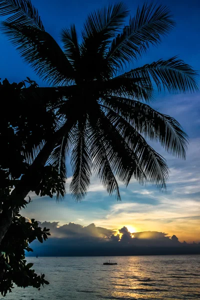 Magic Colorful Sunset with Palm Tree Silhouette — Stock Photo, Image