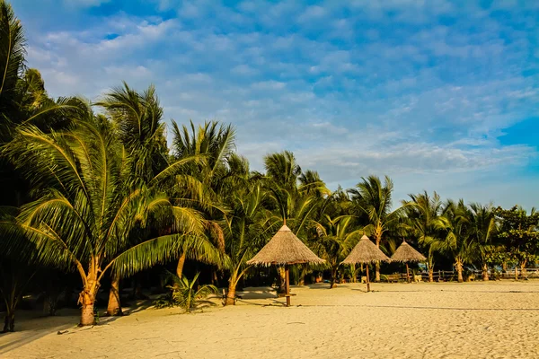 Playa con palmeras y cielo azul-Mabul, Malasia — Foto de Stock
