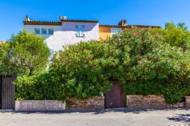 Renkli evleri ve bitkiler Port Grimaud-Fransa