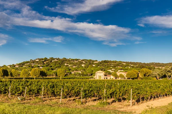 Vingården byggnad och vingård-Provence, Frankrike — Stockfoto