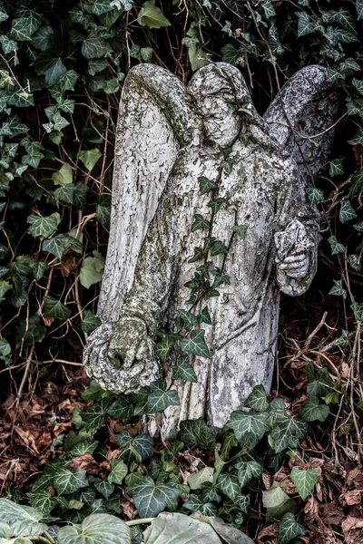 Statue Of Angel In Sedlec Cemetery-Kutna Hora — Stock Photo, Image