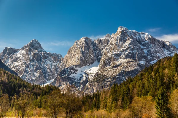 Cordillera y Bosque-Kranjska Gora, Eslovenia — Foto de Stock