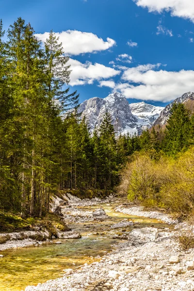 Stenar Mountain-Triglavska Bistrica, Vrata, Eslovenia — Foto de Stock