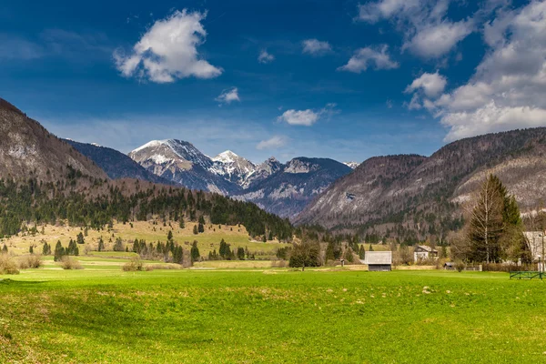 Paisagem rural com montanha perto de Bohinj-Eslovénia — Fotografia de Stock