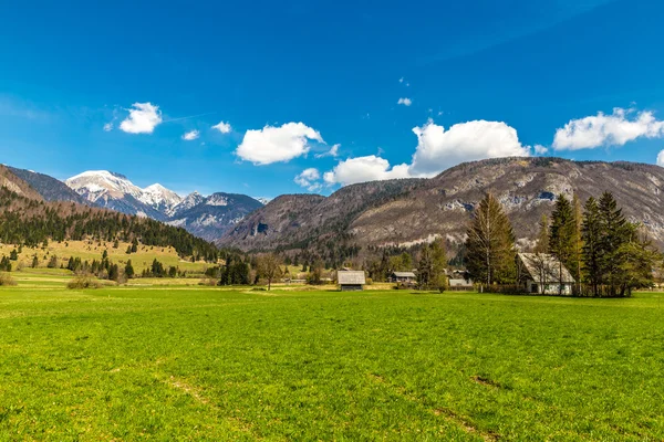 Αγροτικό τοπίο με βουνό κοντά Bohinj-Σλοβενία — Φωτογραφία Αρχείου