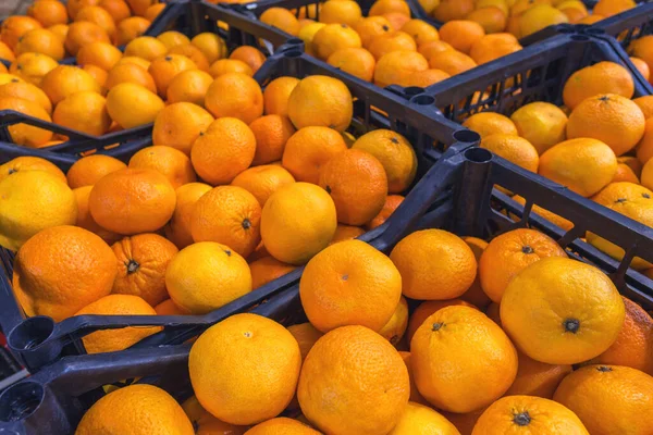 Oranges in boxes at the open-air market or at the wholesale depot of exotic fruits. Local produce at the farmers\' market. High quality photo