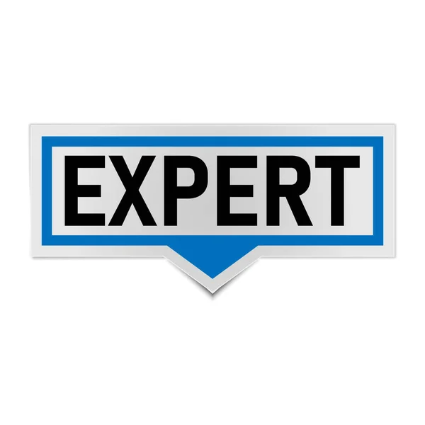 Banner experto azul. experto discurso burbuja etiqueta. — Vector de stock
