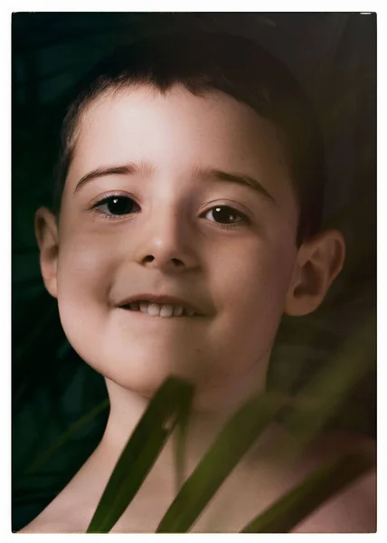 El niño mira a la cámara, con hojas de palma en primer plano. Retrato infantil a través de las hojas. — Foto de Stock