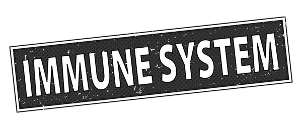 IMMUNE SYSTEM Timbre en Grunge Design Isolé sur fond blanc. Illustration vectorielle — Image vectorielle