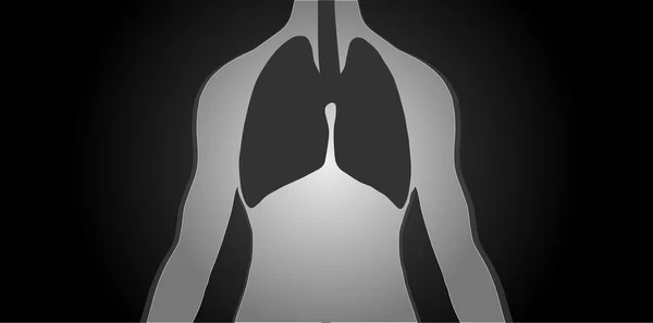 Pulmones — Archivo Imágenes Vectoriales