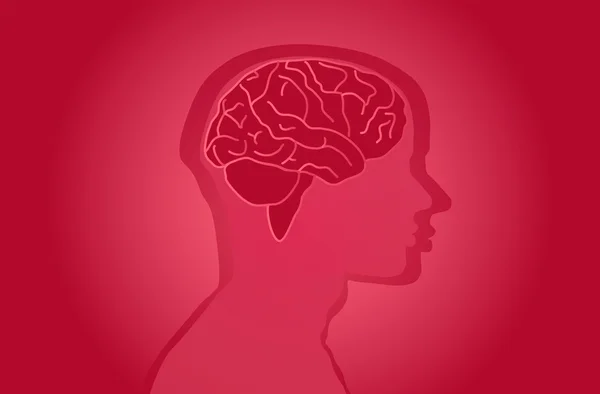 Ilustración del fondo de pantalla del cerebro —  Fotos de Stock