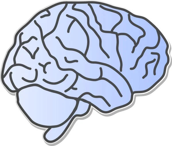 Ilustração papel de parede cérebro — Fotografia de Stock
