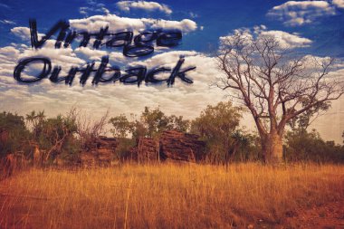 Vintage outback