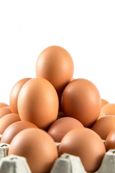 Egg in the package — Stock Photo, Image