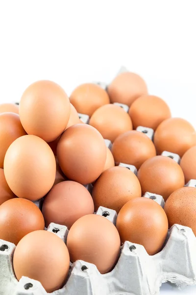 Egg in the package — Stock Photo, Image